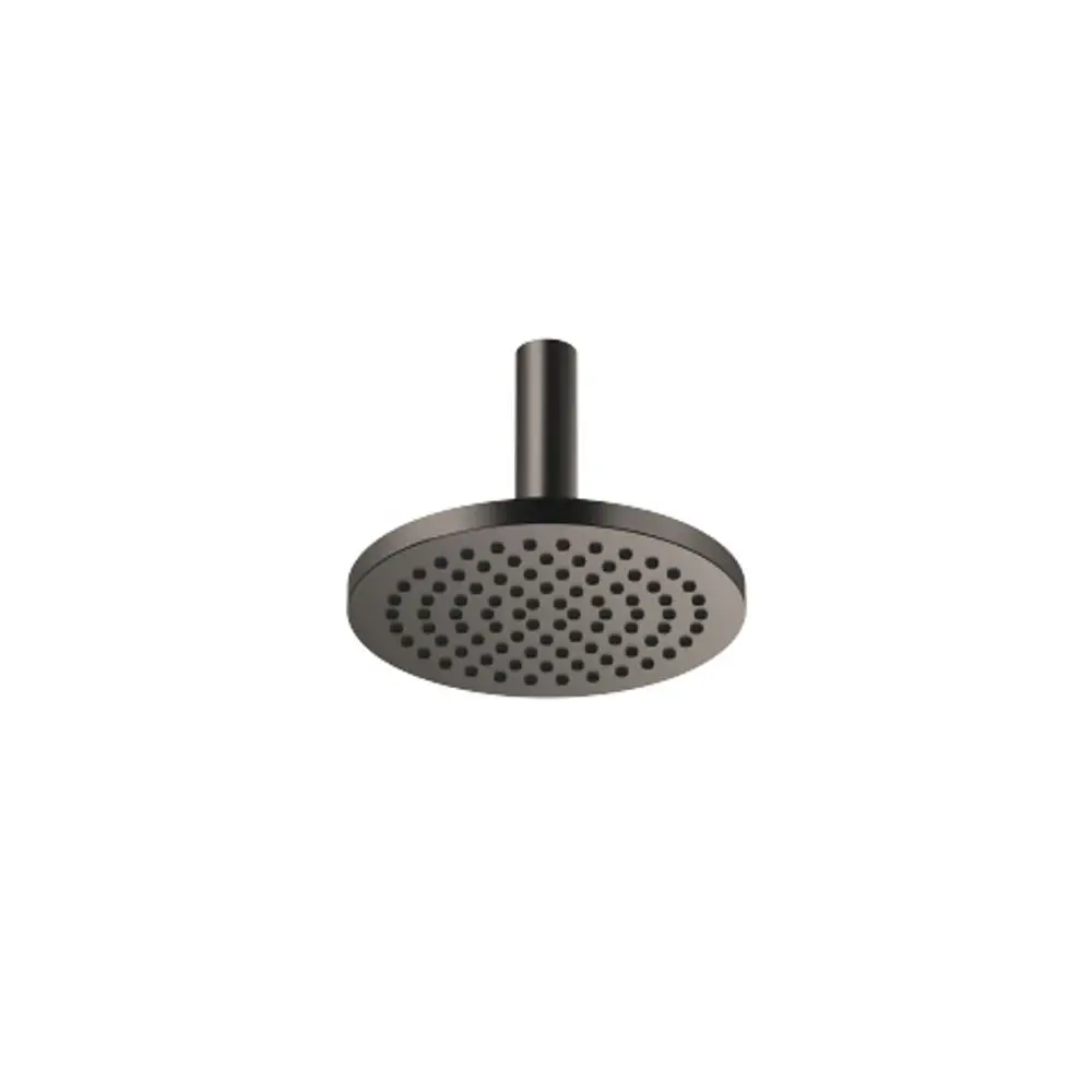 DORNBRACHT Regenbrause mit Deckenanbindung SERIENSPEZIFISCH 28669970 220 mm Dark Platinum gebürstet, 28669970-99 Galeriebild 1